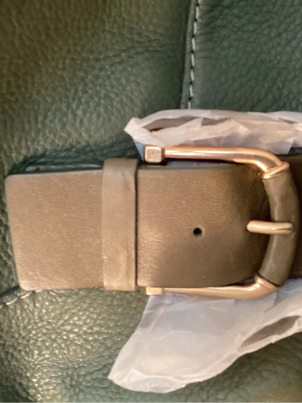 Michael Kors Olive Green Leather Messenger Bag